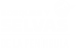 image (1)